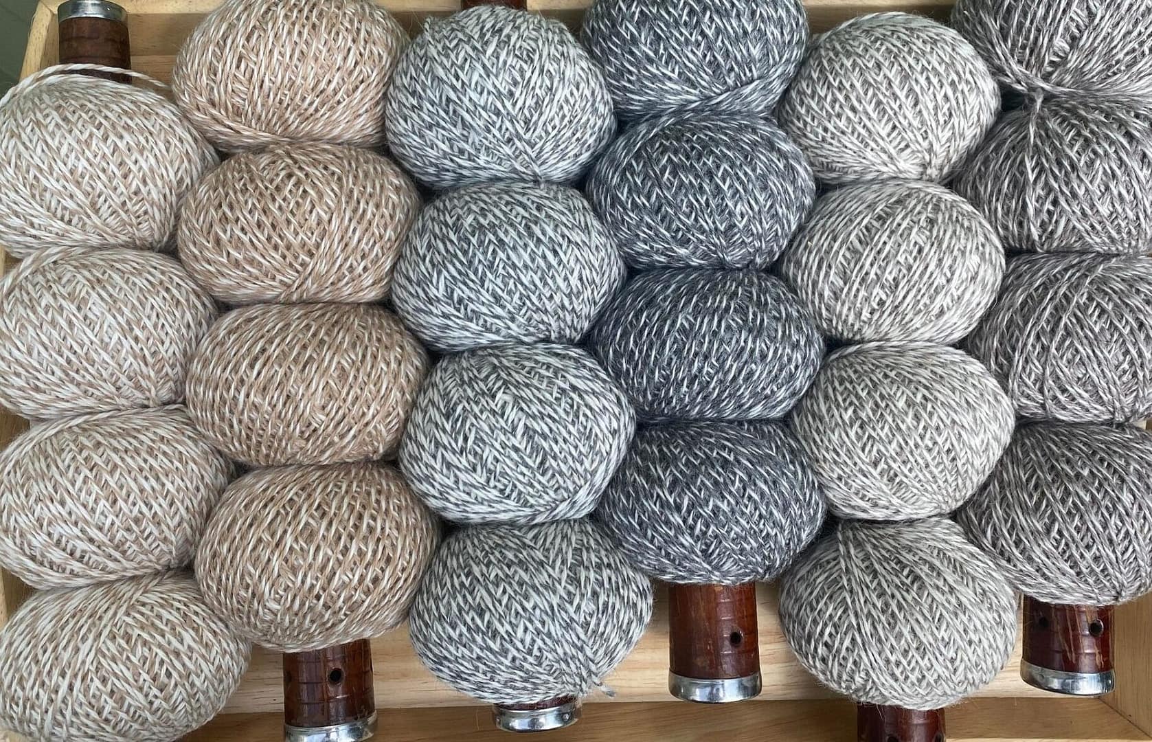 Alpaca DK barber pole
