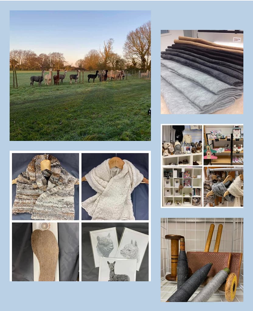 Exclusively Alpaca yarns